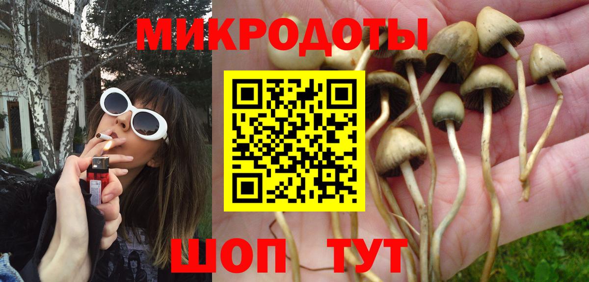Псилоцибиновые грибы мухоморы Гусиноозёрск