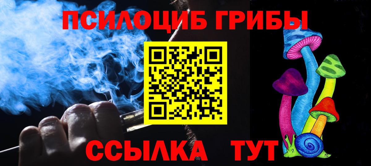 Гусиноозёрск  наркотики  Вход с VPN  Псилоцибиновые грибы Psilocybe  Галлюциногенные грибы прущие грибы 